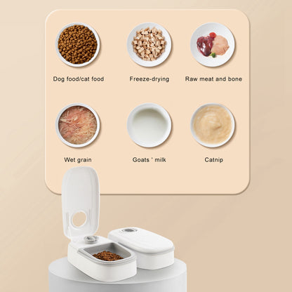Smart Auto Pet Feeder with Timer