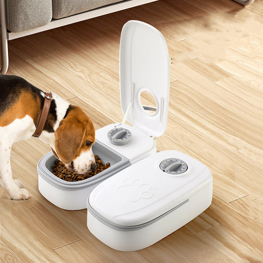 Smart Auto Pet Feeder with Timer