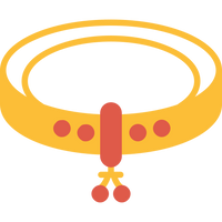 Pet Collar & Harness